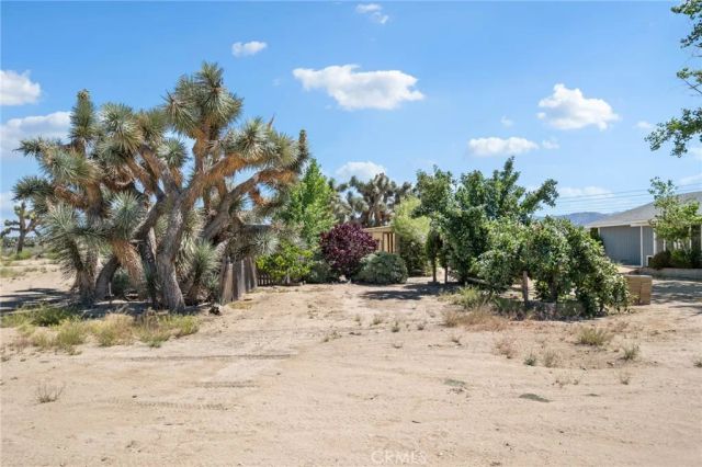 10925 Buttonwood, Phelan, CA 92371