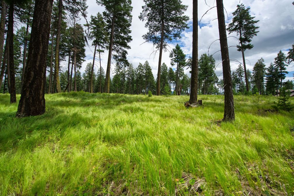 Image 1 of property listing at 182 Rosewood Lane Lot 15, Whitefish, MT 59937