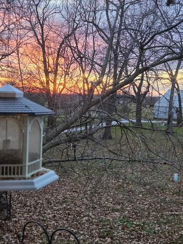 6333 S State Highway 125, Rogersville, MO 65742