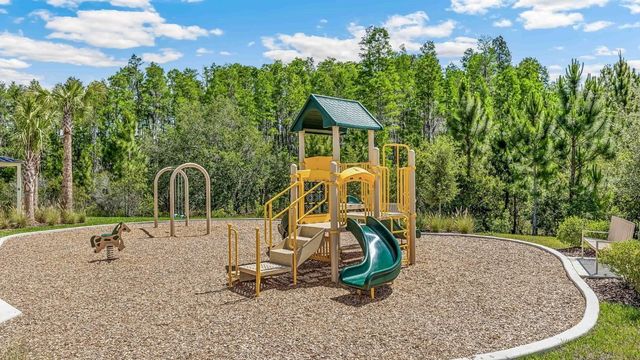 32538 MIDSUMMER NIGHT LANE, Wesley Chapel, FL 33543