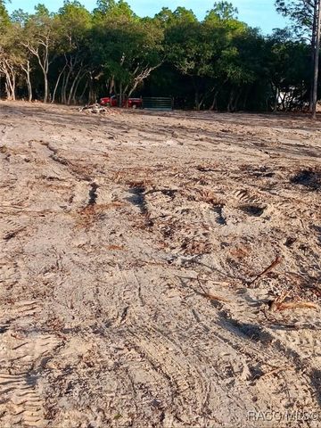 0 SE 133rd Avenue, Dunnellon, FL 34431