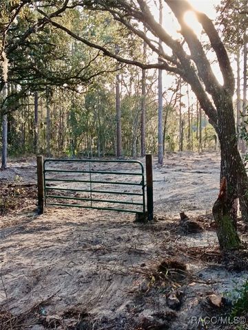0 SE 133rd Avenue, Dunnellon, FL 34431