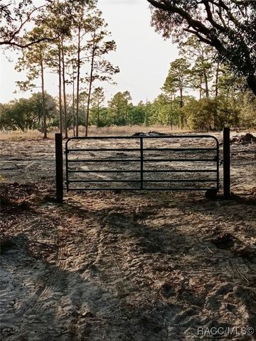 0 SE 133rd Avenue, Dunnellon, FL 34431