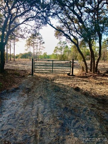 0 SE 133rd Avenue, Dunnellon, FL 34431