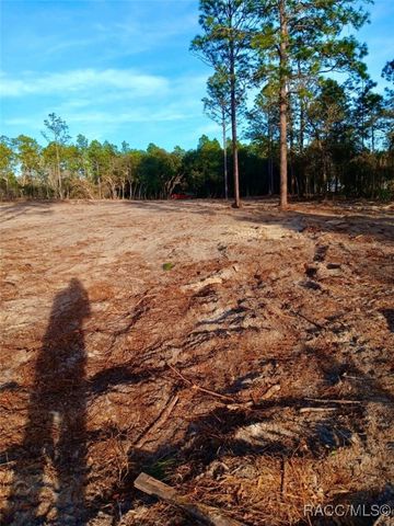 0 SE 133rd Avenue, Dunnellon, FL 34431