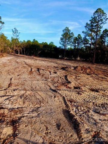 0 SE 133rd Avenue, Dunnellon, FL 34431