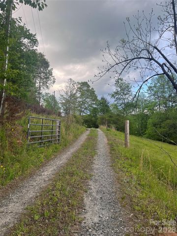 1239 W McGuinn Road, Mill Spring, NC 28756