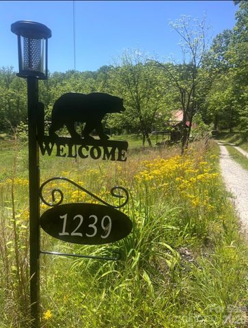 1239 W McGuinn Road, Mill Spring, NC 28756