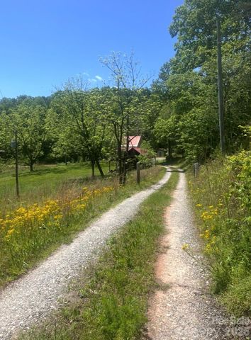 1239 W McGuinn Road, Mill Spring, NC 28756