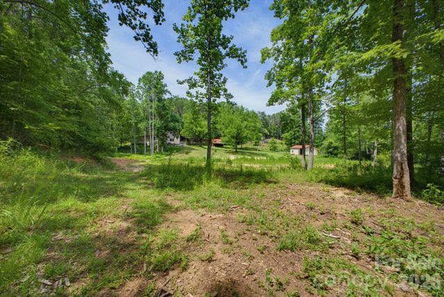 1239 W McGuinn Road, Mill Spring, NC 28756