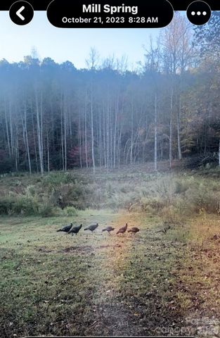 1239 W McGuinn Road, Mill Spring, NC 28756