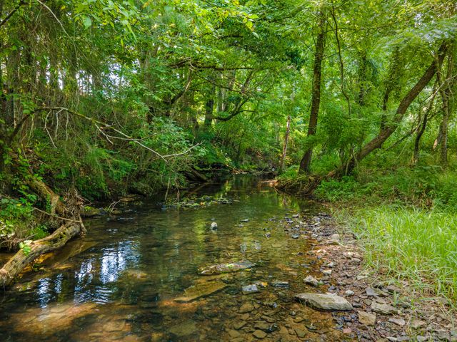3247 Springplace Rd, Lewisburg, TN 37091