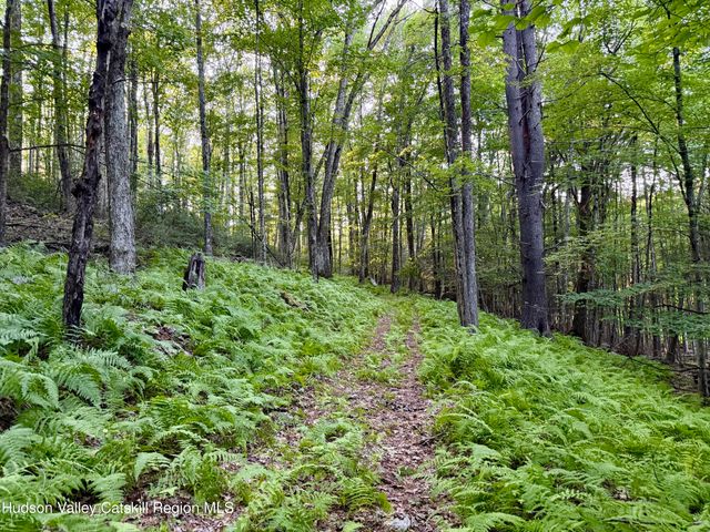 668 Upper Cherrytown Road, Kerhonkson, NY 12446