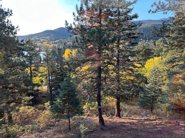 82 Goldhill Drive, Rye, CO 81069