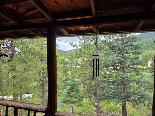 82 Goldhill Drive, Rye, CO 81069