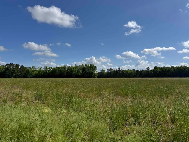 4633 Grainger Circle, Green Sea, SC 29545