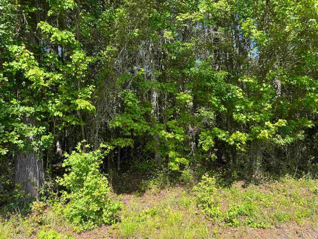 4633 Grainger Circle, Green Sea, SC 29545