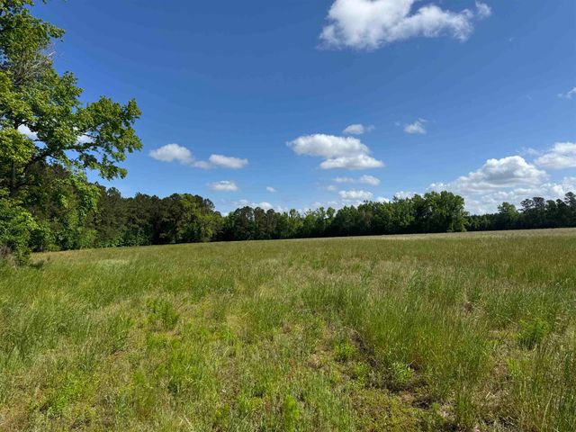 4633 Grainger Circle, Green Sea, SC 29545