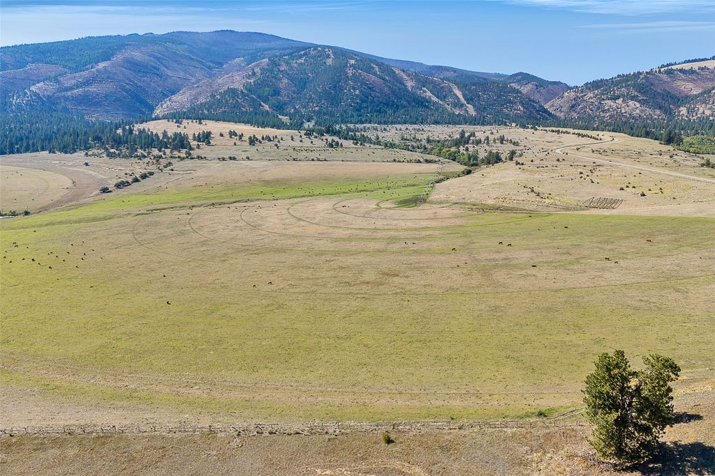 000 King Pastures, Florence, MT 59833 photo 3