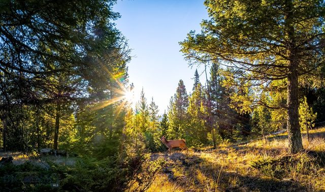 Lot 1 Wheatgrass Meadows, Big Sky, MT 59716