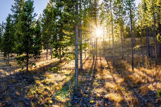 Lot 1 Wheatgrass Meadows, Big Sky, MT 59716