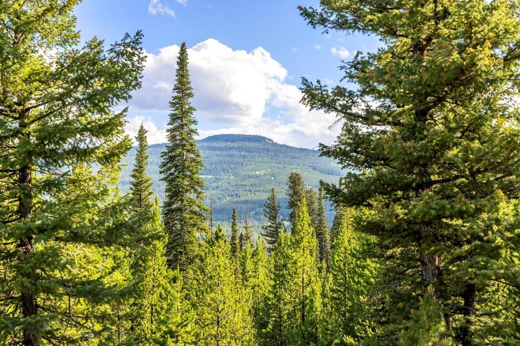 Lot 1 Wheatgrass Meadows, Big Sky, MT 59716 photo 13