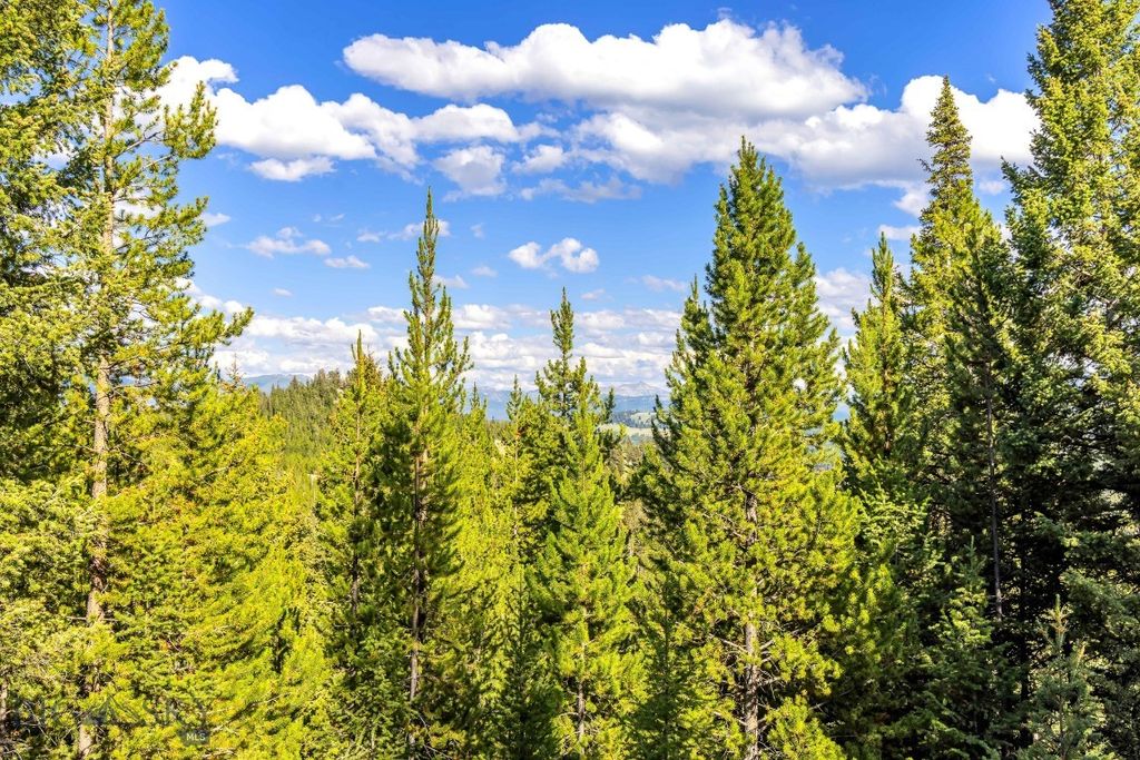 Lot 1 Wheatgrass Meadows, Big Sky, MT 59716 photo 14