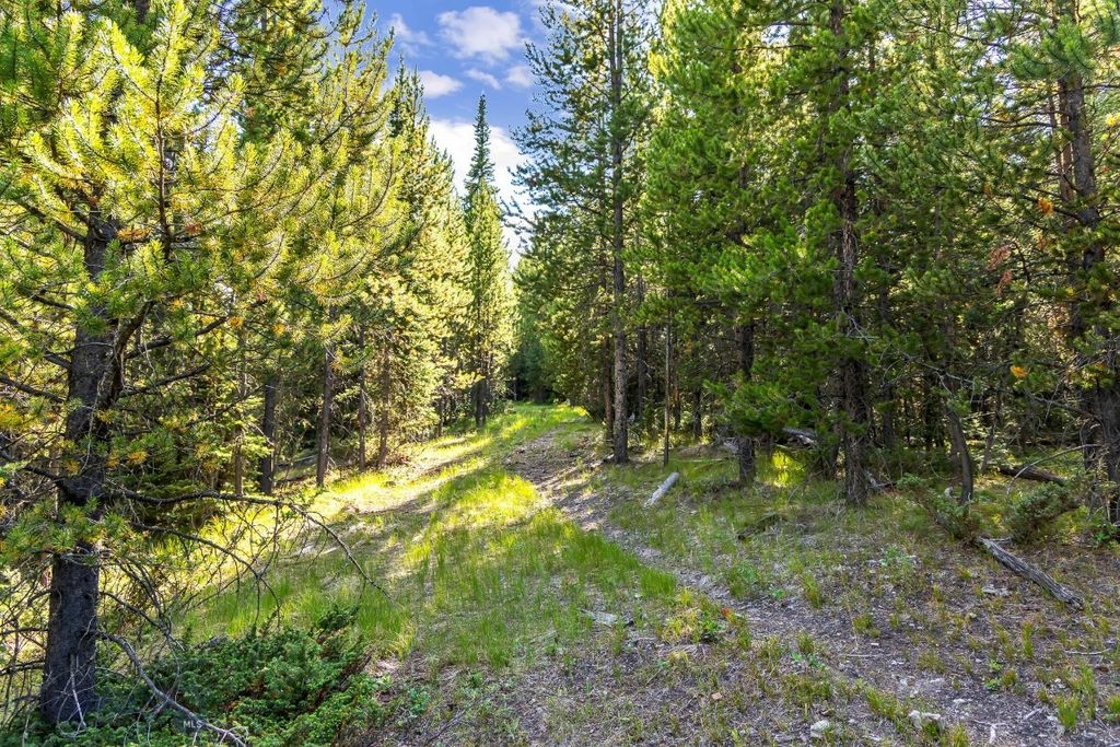Lot 1 Wheatgrass Meadows, Big Sky, MT 59716 photo 15