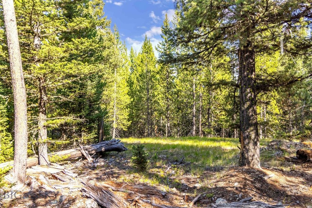 Lot 1 Wheatgrass Meadows, Big Sky, MT 59716 photo 18