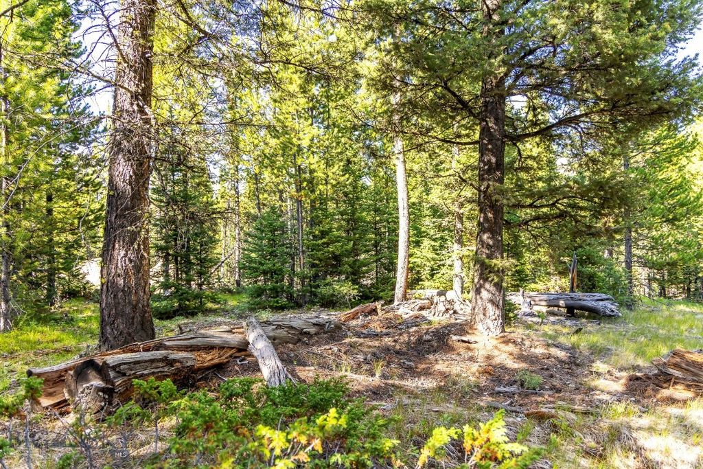 Lot 1 Wheatgrass Meadows, Big Sky, MT 59716 photo 19