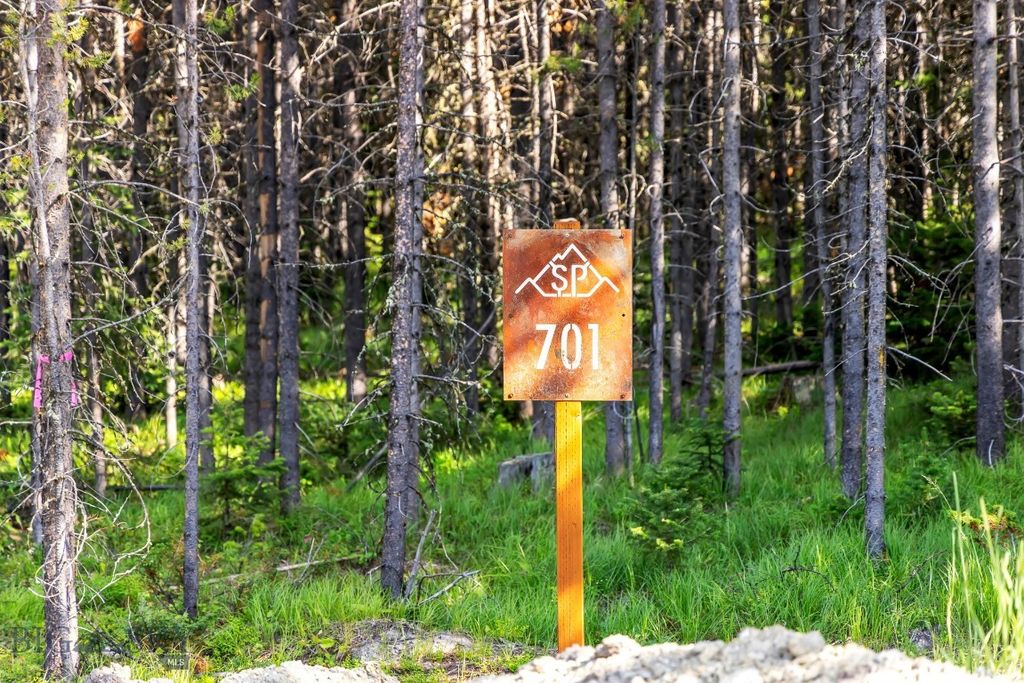 Lot 1 Wheatgrass Meadows, Big Sky, MT 59716 photo 6