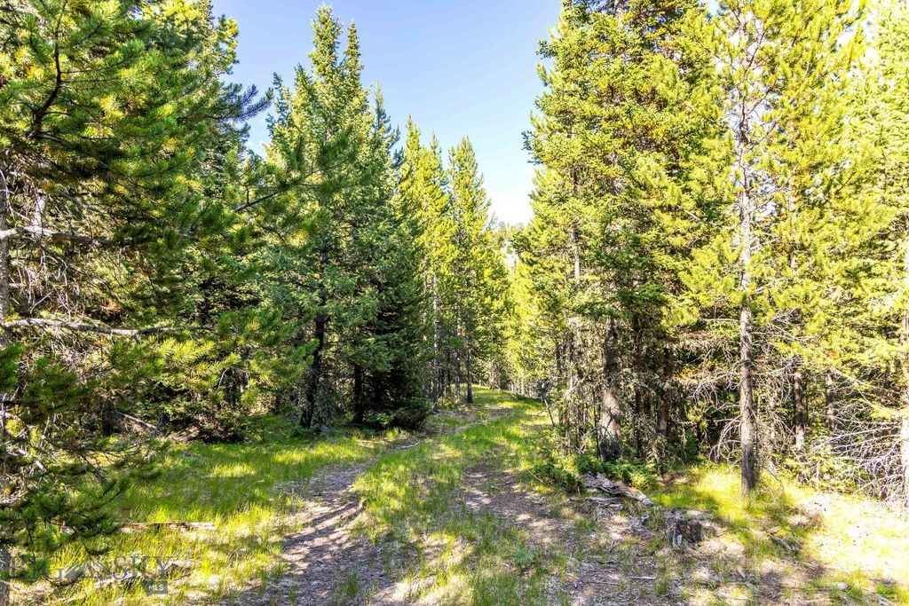 Lot 1 Wheatgrass Meadows, Big Sky, MT 59716 photo 7
