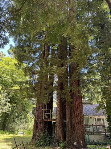 6975 La Honda Road, La Honda, CA 94020