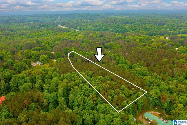 0 SPUNKY HOLLOW ROAD, Trafford, AL 35172