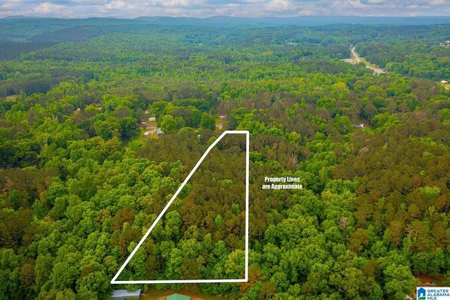 0 SPUNKY HOLLOW ROAD, Trafford, AL 35172