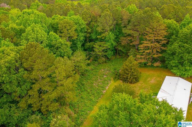 0 SPUNKY HOLLOW ROAD, Trafford, AL 35172