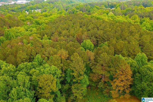 0 SPUNKY HOLLOW ROAD, Trafford, AL 35172