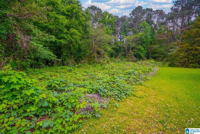 0 SPUNKY HOLLOW ROAD, Trafford, AL 35172