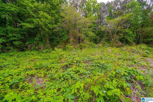 0 SPUNKY HOLLOW ROAD, Trafford, AL 35172