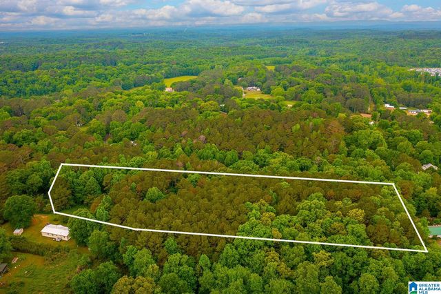 0 SPUNKY HOLLOW ROAD, Trafford, AL 35172