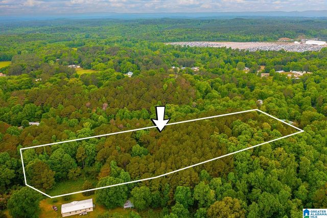 0 SPUNKY HOLLOW ROAD, Trafford, AL 35172