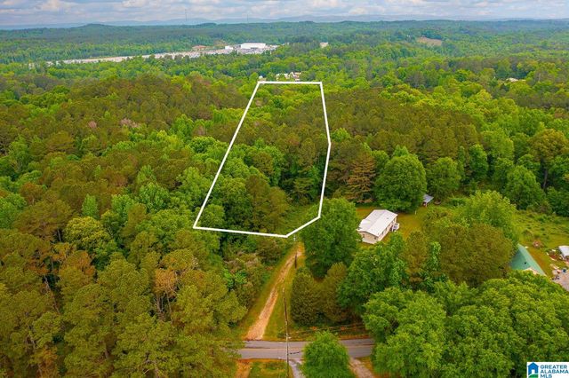 0 SPUNKY HOLLOW ROAD, Trafford, AL 35172
