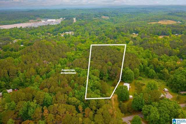 0 SPUNKY HOLLOW ROAD, Trafford, AL 35172