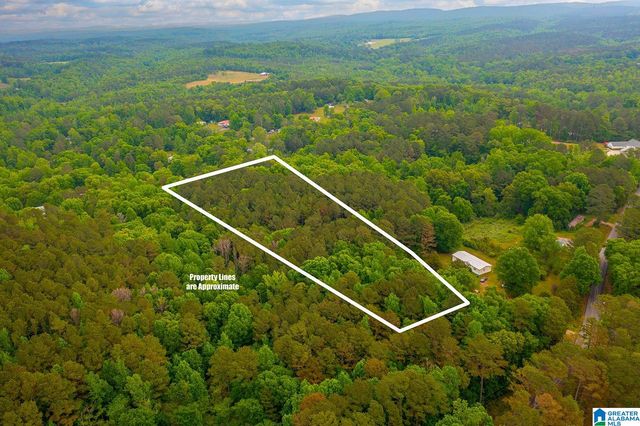 0 SPUNKY HOLLOW ROAD, Trafford, AL 35172