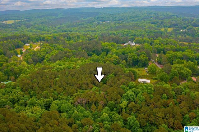 0 SPUNKY HOLLOW ROAD, Trafford, AL 35172