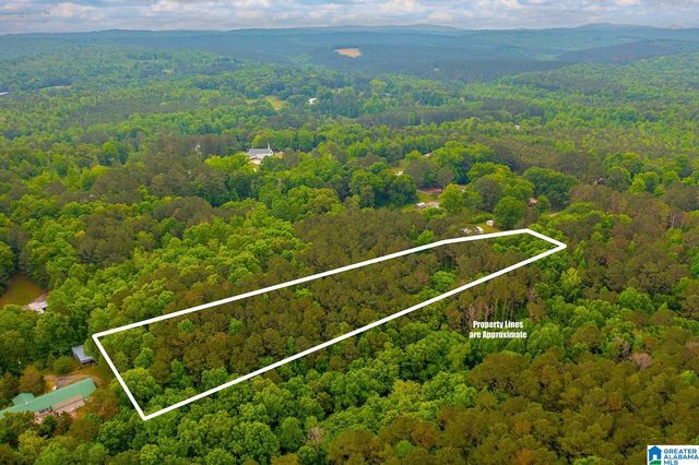 0 SPUNKY HOLLOW ROAD, Trafford, AL 35172