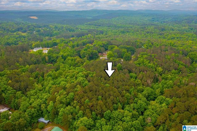 0 SPUNKY HOLLOW ROAD, Trafford, AL 35172