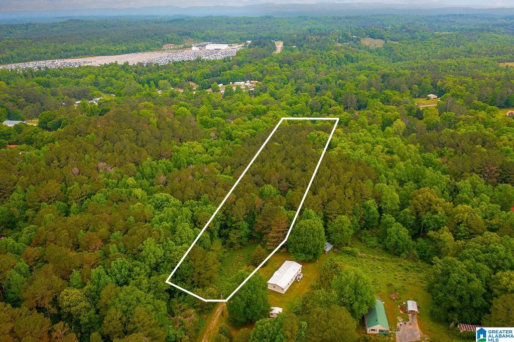 0 SPUNKY HOLLOW ROAD, Trafford, AL 35172