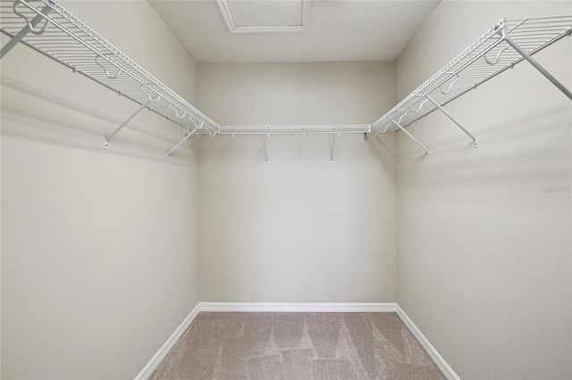 8426 PAINTED TURTLE WAY, Riverview, FL 33578