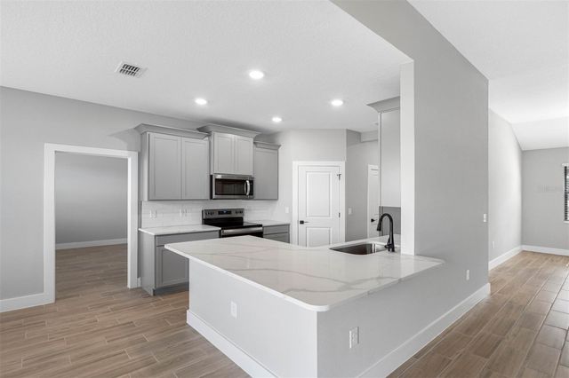 13444 LAKE GALLAGHER DRIVE, Dover, FL 33527